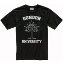 Gondor University