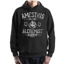 Fullmetal Alchemist - Amestris Military