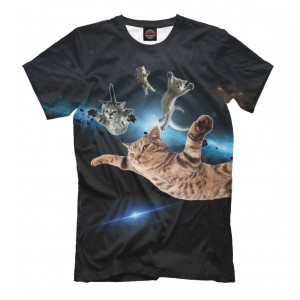 Летящие коты в космосе